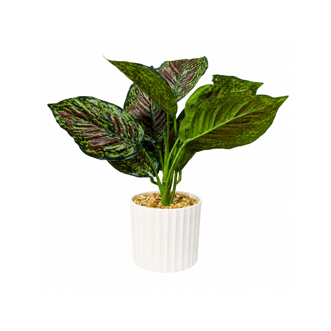 Maceta con planta 2