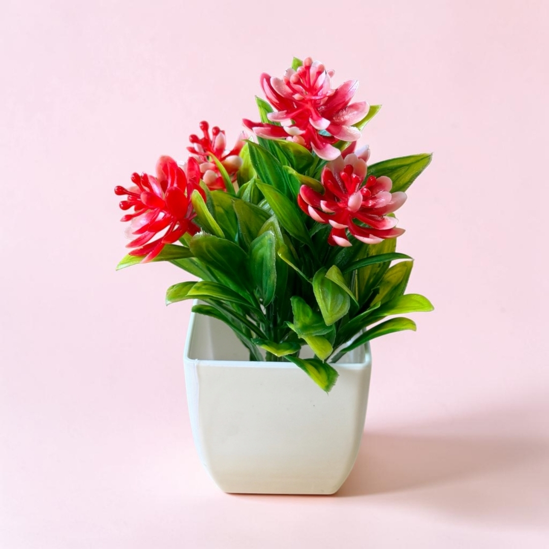 Planta con flores y maceta 2