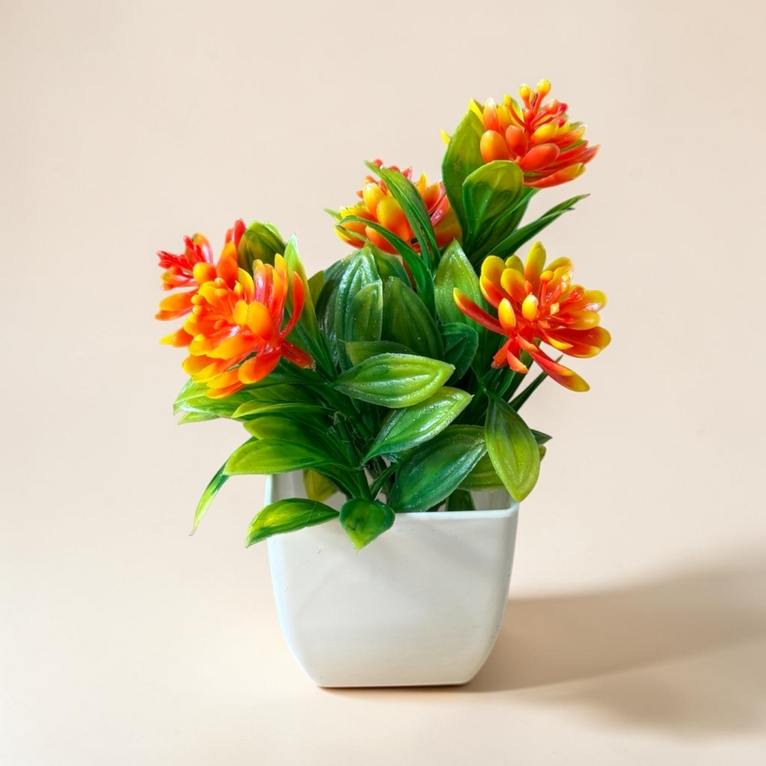 Planta con flores y maceta 3