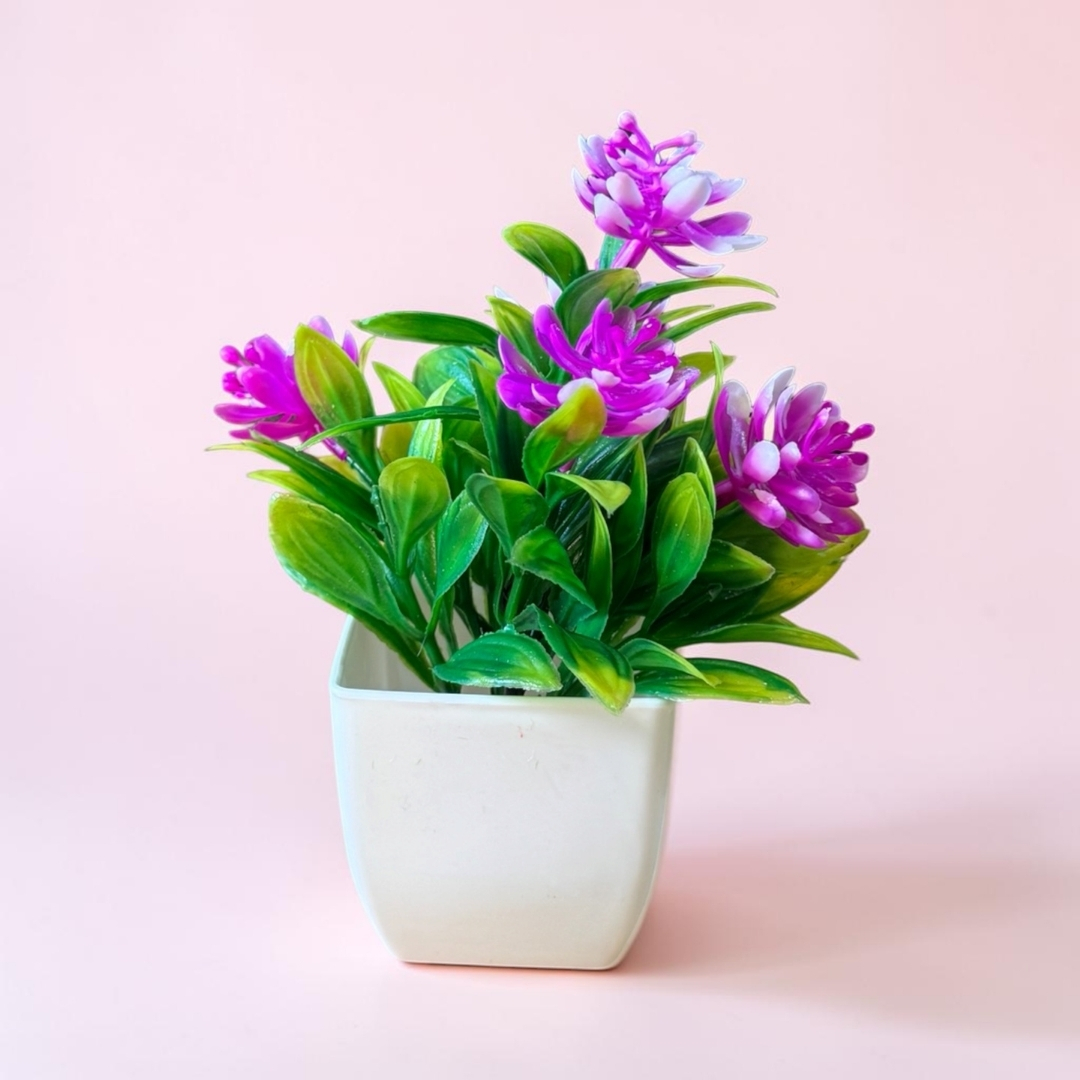 Planta con flores y maceta 4
